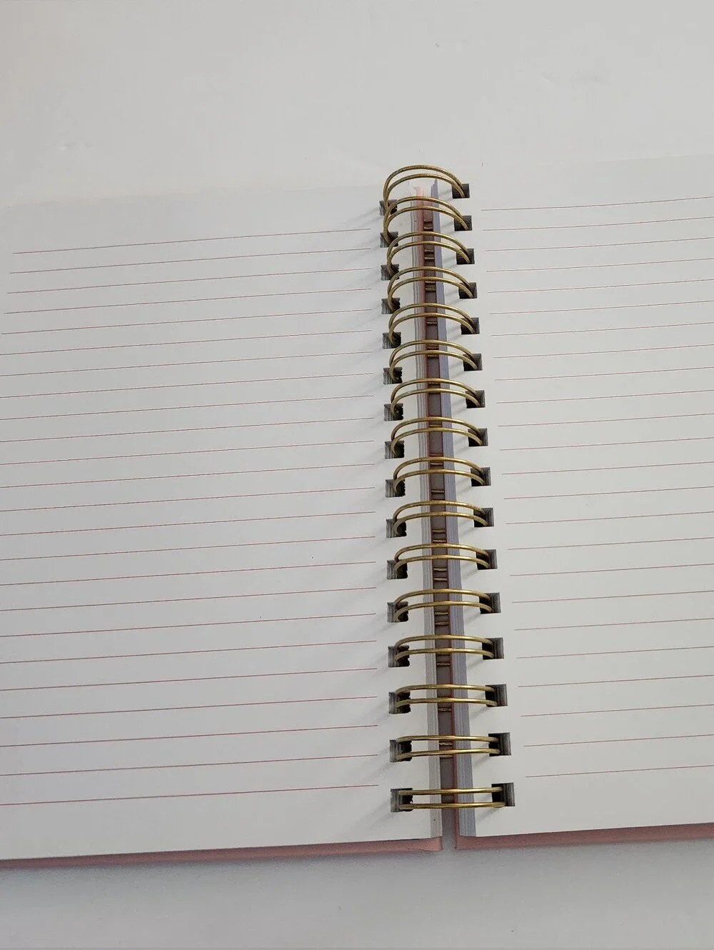 Pink Strawberry Floral Spiral Notebook - Notes